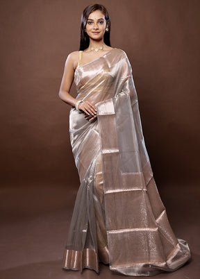 Grey Handloom Tissue Pure Silk Saree With Blouse Piece