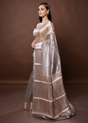 Grey Handloom Tissue Pure Silk Saree With Blouse Piece - Indian Silk House Agencies