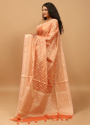 Orange Tissue Silk Saree With Blouse Piece