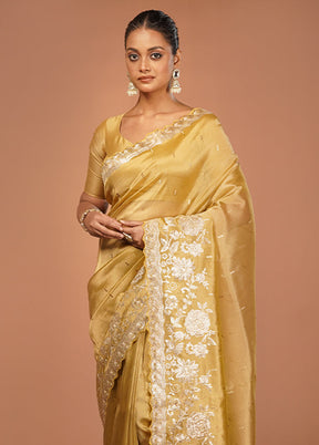 Grey Handloom Tissue Pure Silk Saree With Blouse Piece
