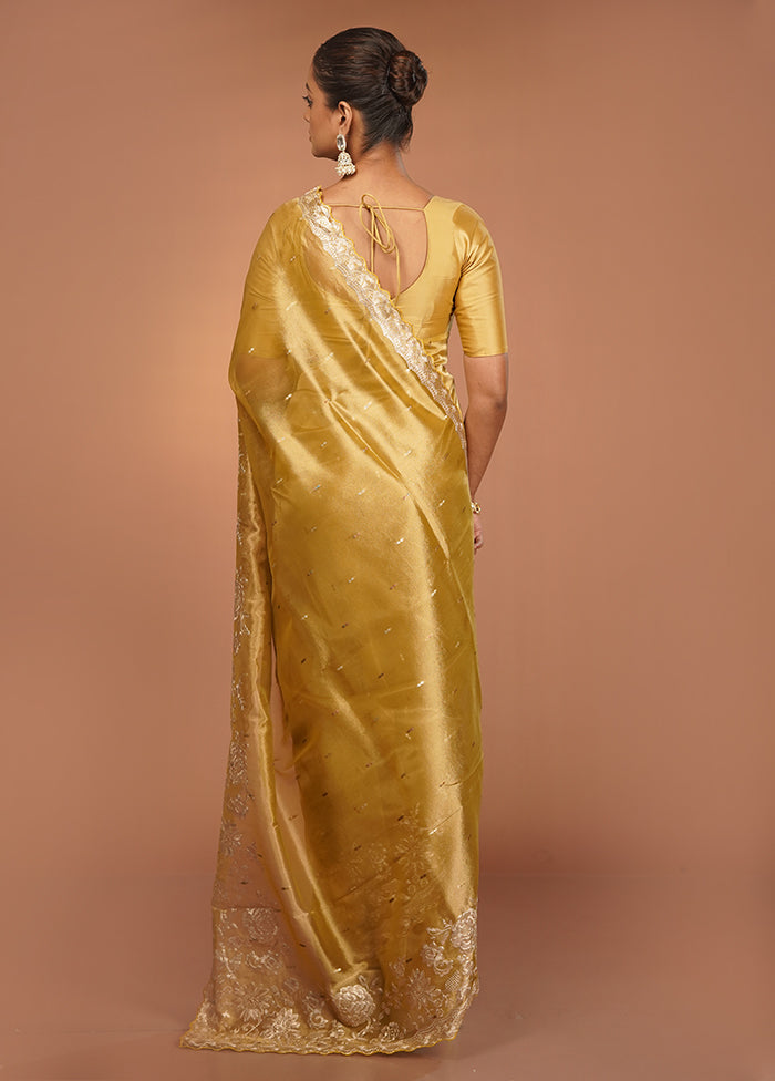 Grey Handloom Tissue Pure Silk Saree With Blouse Piece