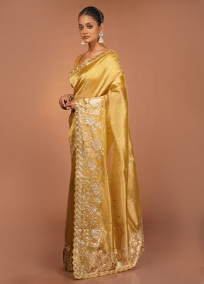 Grey Handloom Tissue Pure Silk Saree With Blouse Piece