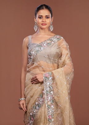 Cream Handloom Tissue Pure Silk Saree With Blouse Piece