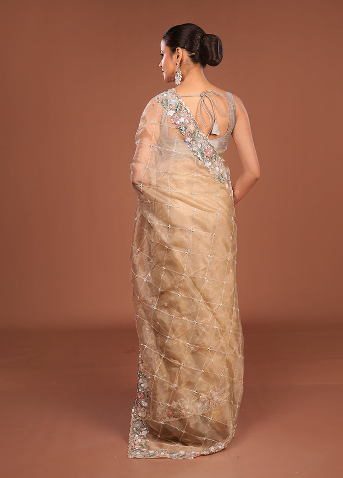 Cream Handloom Tissue Pure Silk Saree With Blouse Piece