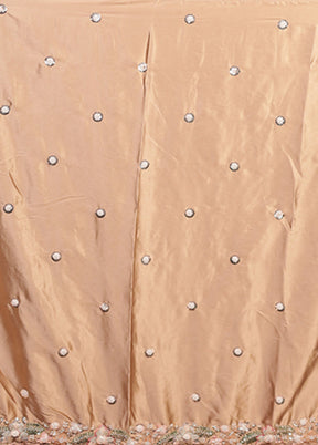 Cream Handloom Tissue Pure Silk Saree With Blouse Piece