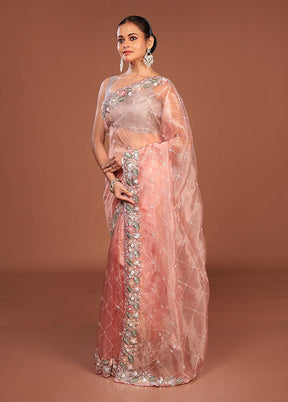 Pink Handloom Tissue Pure Silk Saree With Blouse Piece