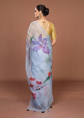 Blue Handloom Pure Organza Saree With Blouse Piece