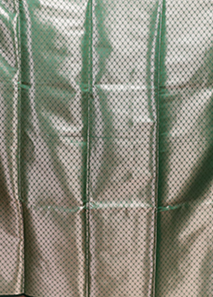 Green Dupion Silk Saree With Blouse Piece