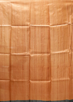Multicolor Handloom Tussar Pure Silk Saree With Blouse Piece
