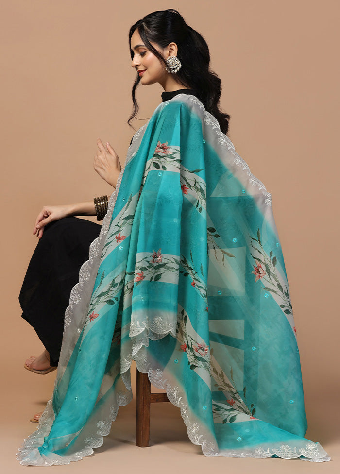 Sky Blue Organza Embroidered Work Dupatta