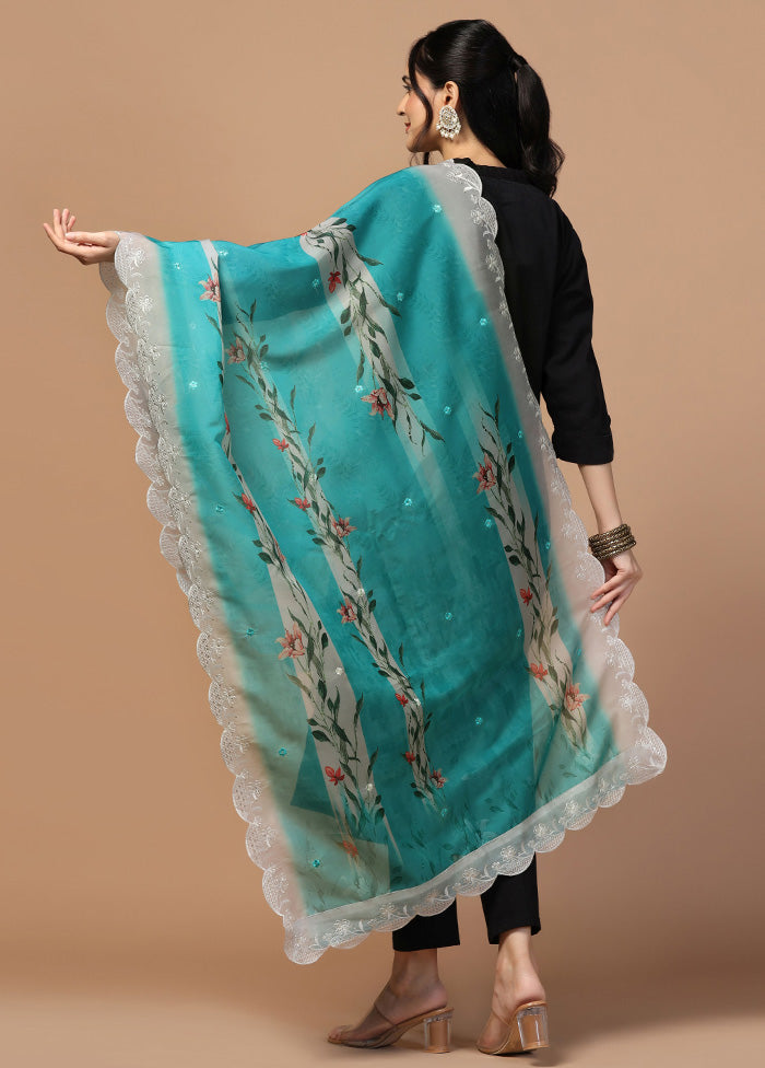 Sky Blue Organza Embroidered Work Dupatta