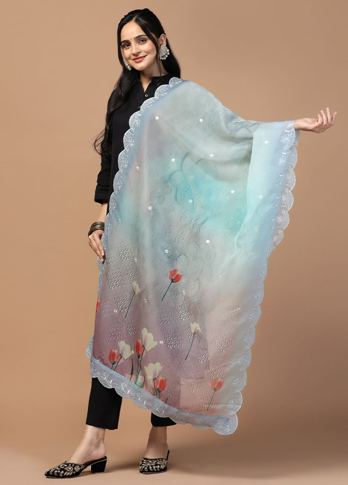 Multicolor Organza Embroidered Work Dupatta