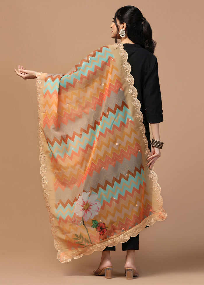 Multicolor Organza Embroidered Work Dupatta