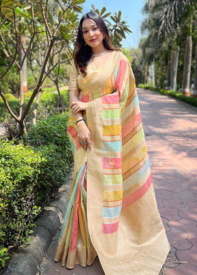 Chiku Organza Saree With Blouse Piece