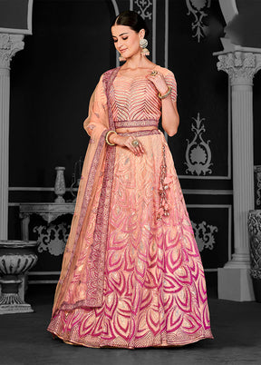Peach Net Lehenga Set