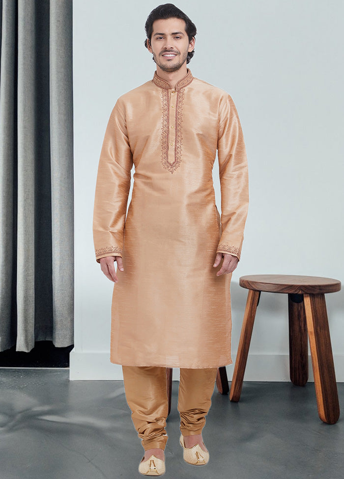 Chikoo Dupion Silk Kurta