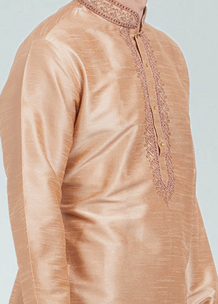 Chikoo Dupion Silk Kurta