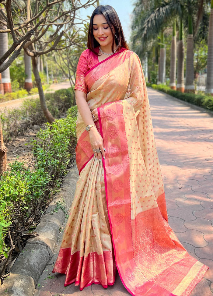 Chiku Dupion Silk Saree With Blouse Piece - Indian Silk House Agencies