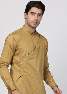 Chiku Cotton Solid Kurta VDVAS30062303 - Indian Silk House Agencies