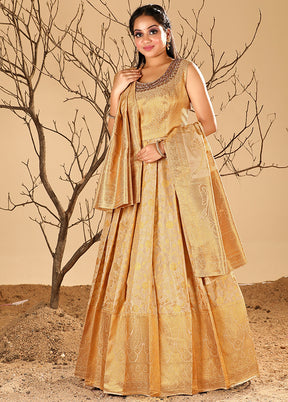 2 pc Chiku Readymade Silk Gown Set