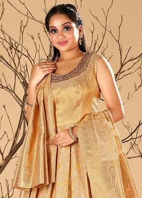 2 pc Chiku Readymade Silk Gown Set