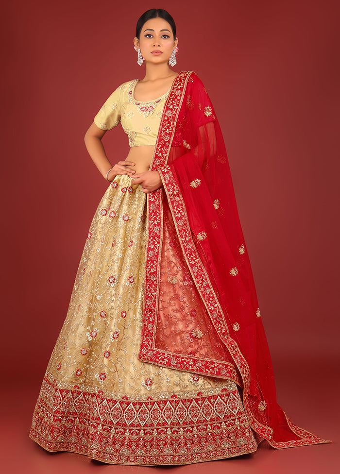 3 Pc Chiku Net Semi Stitched Lehenga Set