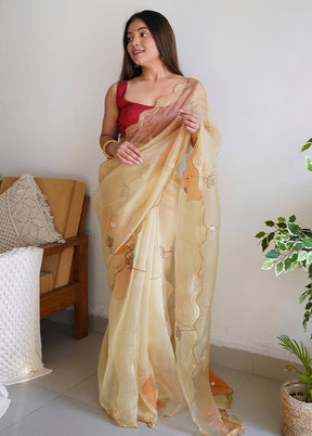 Brown Organza Saree With Blouse Piece